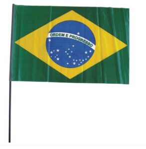 Bandeira Torcedor do Brasil